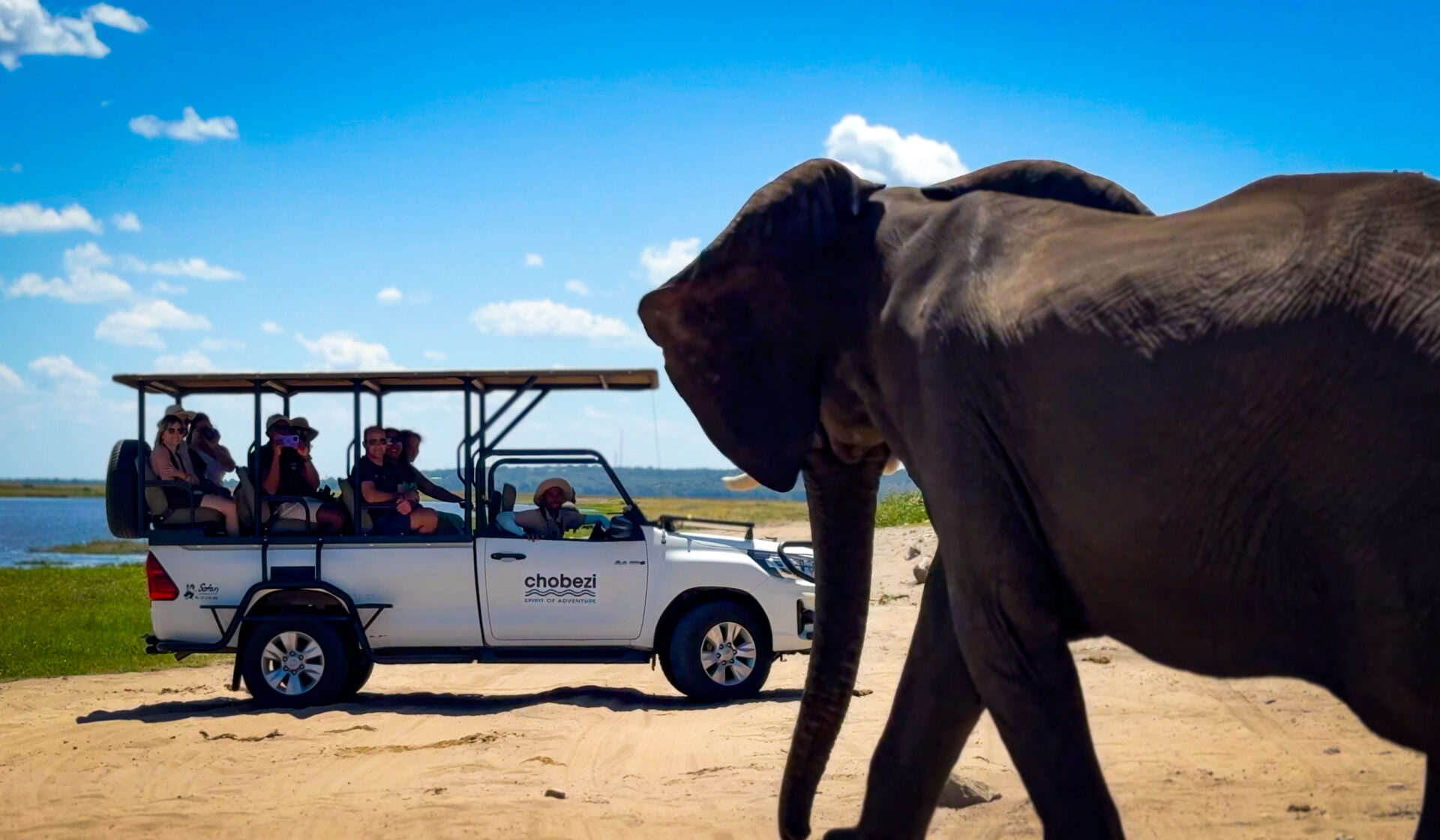 Chobe Day Trip in Victoria Falls