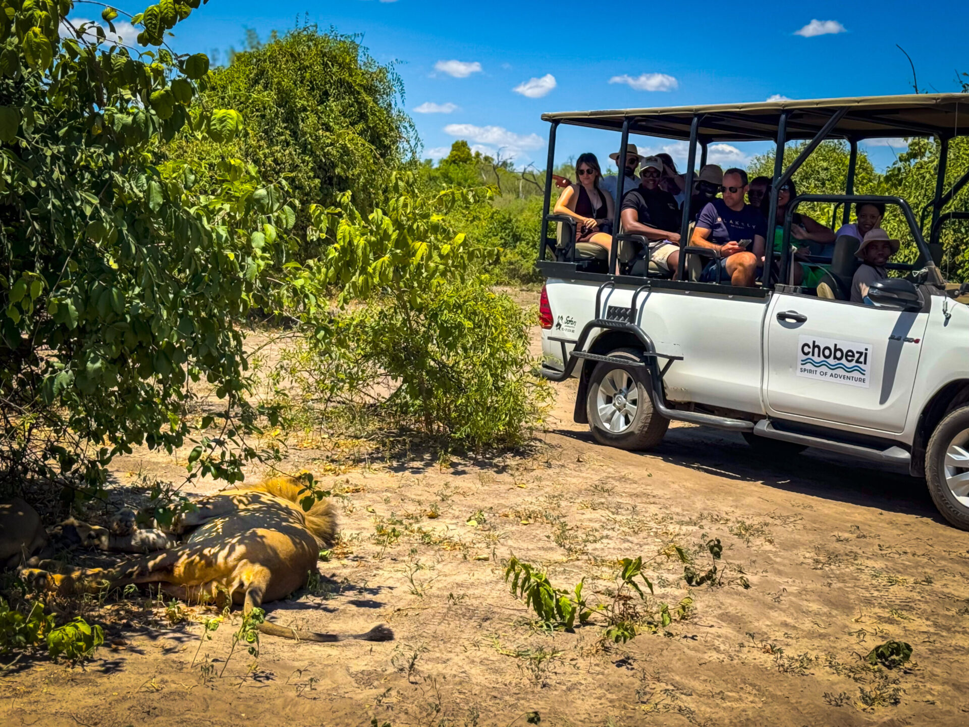 Chobe Day Trip in Victoria Falls