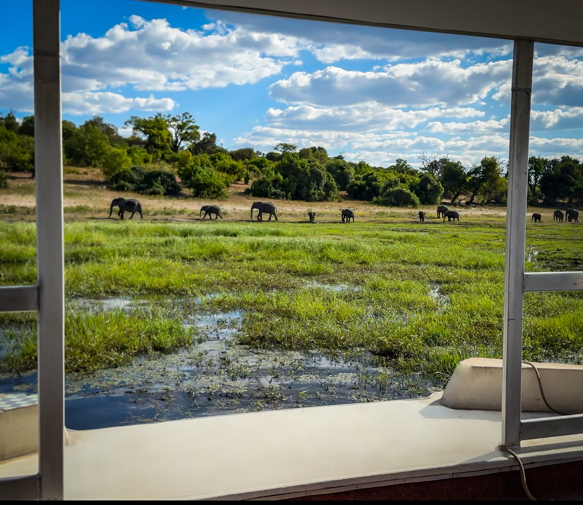 Chobe Day Trip in Victoria Falls