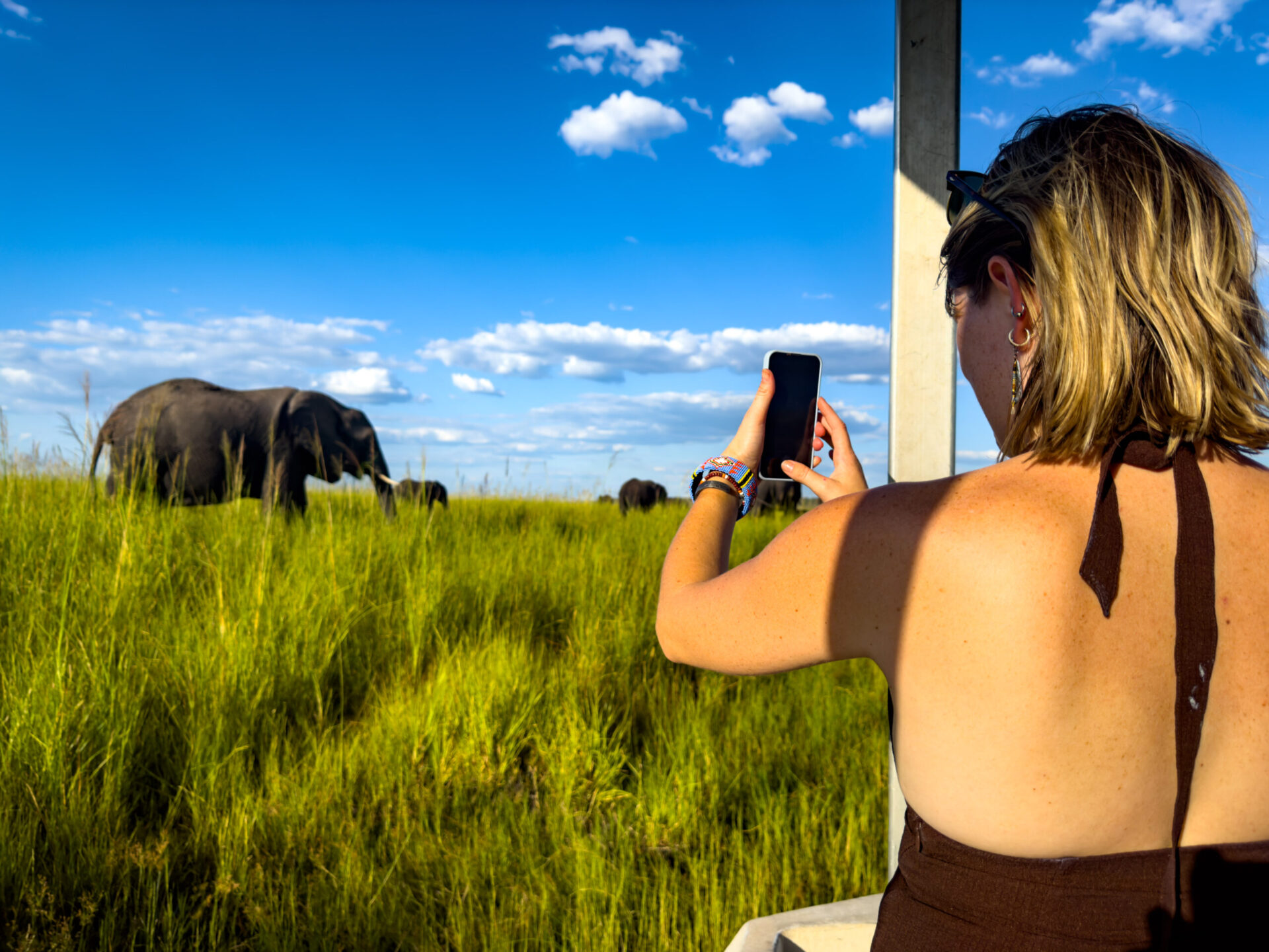 Chobe Day Trip in Victoria Falls
