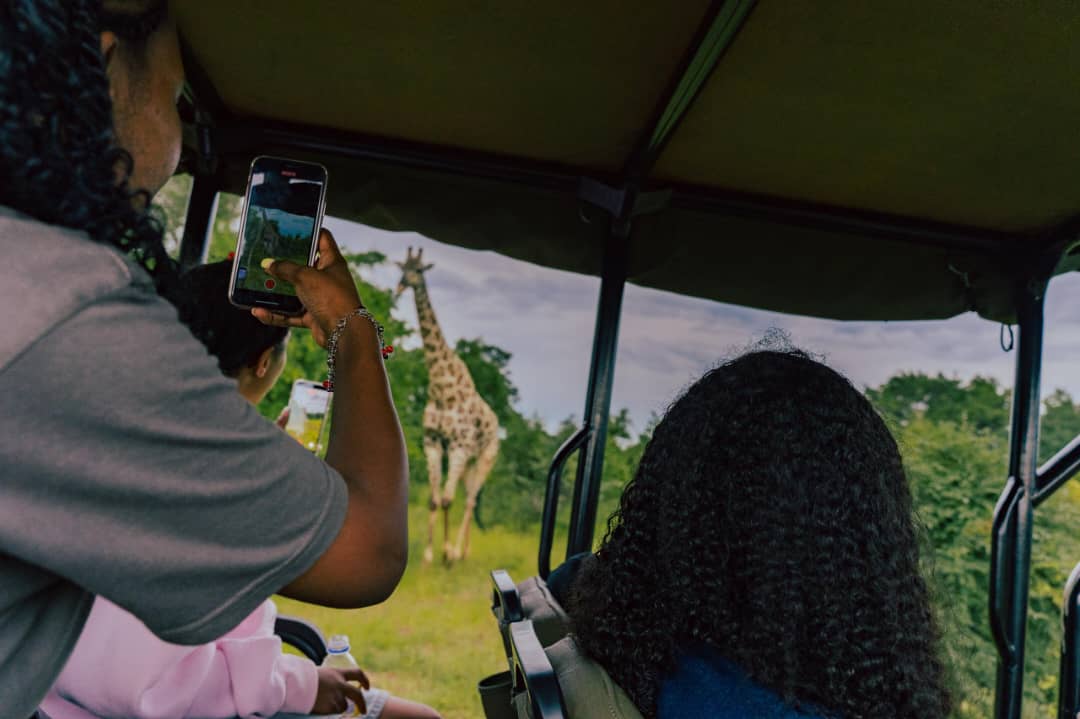 Guest photographing a giraffe on a game drive