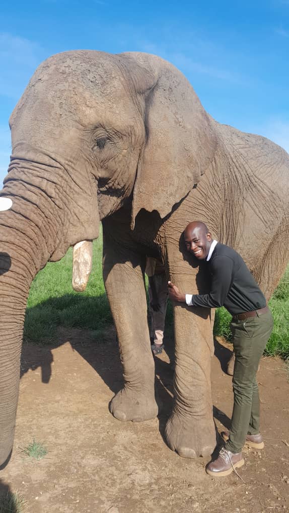 Guest meeting an elephant up close